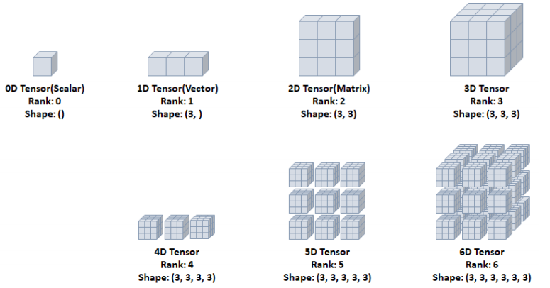 tensor