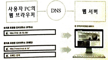 DNS