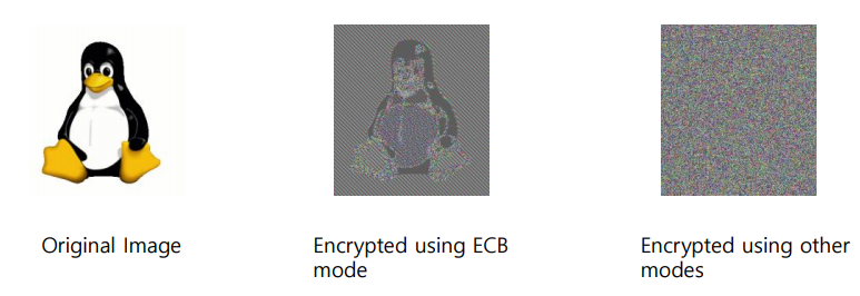 ECB2